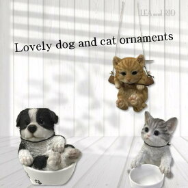 360°まるっとかわいい置物 オブジェ お部屋に飾る 玄関 エクステリア 犬 猫 ペット ポリレジン製 飾り ティーカップ ガーデニング シェパード 茶トラ インテリア おしゃれ かわいい 内装 雑貨 ハンキング わんちゃん ねこちゃん 庭 返品交換不可
