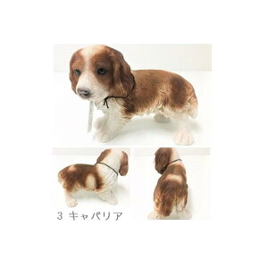 360°܂Ƃ킢u IuWF Č uh[ _VA t`uhbO tu `[t 񂿂 ˂  L ybg킢   GNXeA 