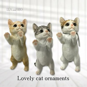 360°܂Ƃ킢u|W GNXeA IuWF g ~P To `[t G cat L Lbg  L ybg 킢    K[fjO Ce