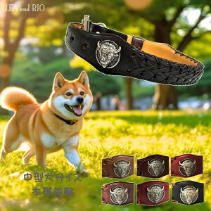 {v֎ 40`49cm т J[ {v U[ GCWO oC\ _[NJ[ ybgp ^ ^  L ybg   L ACe U S VRf ^p[c X^bY 