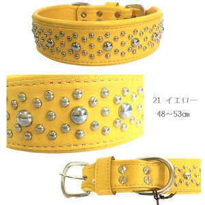 ���U�[��֎�� 48�`53cm ���т� �J���[ �{�v ���U�[ ���^ ���^�� ��^ ��^�� �� �L �y�b�g ���� �L�� ���̕� �L�̕� �m�� ���o���� �U�� �X�^�b�Y �N�[�� ���^���p�[�c �A�N�Z�T���[ �V���v�� 