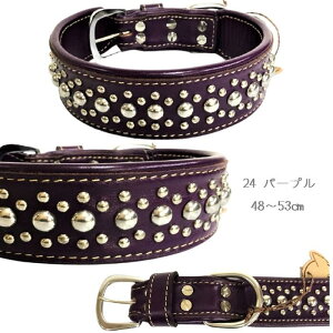 U[֎ 48`53cm т J[ {v U[  ^ ^ ^ ^  L ybg ̕ L̕  L m o U N[ ^p[c X^bY ANZT