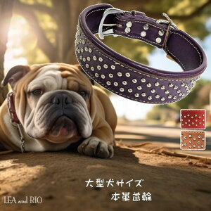 gقǂɓގ֎ 50`56cm т J[ {v U[ VRf  ybg  L ̕ L̕ X^bY i` N[  Vv Vv ACe Vo[ 