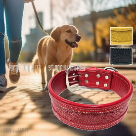 頑丈なエイ革を使用アイテム首輪 大型犬用 50～58cm エイ革 クール くびわ カラー ガルーシャ レザー 壊れにくい お出かけ 散歩 頑丈 丈夫 犬 ペット 本革 エイ 天然素材 イエロー ナチュラル アイテム シンプル かっこいい おしゃれ 安全 大型 大型犬 返品交換不可