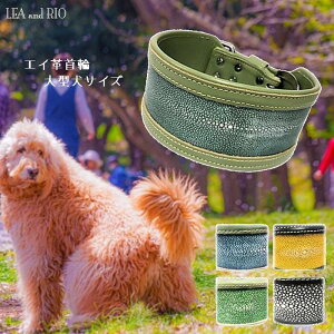 �{�v��֎�� 50�`56cm �K���[�V�� �{�v �G�C �G�C�v �J���[ ���т� �� ���� �L�� �y�b�g�p ��^ ���p �A�C�e�� ���m�g�[�� �U�� �N�[�� �V���v�� ���o���� ���� ��� ��v �r�r�b�g�J���[ �i�`