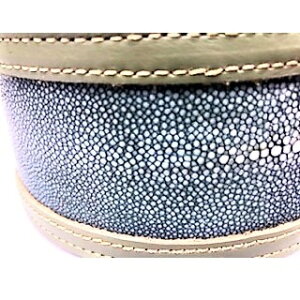 {v֎ 50`56cm K[V {v GCv GC J[ т   L ybgp ^ p ACe mg[ rrbgJ[ U N[ Vv o  v  i`