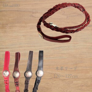g[jOEPɂ[h 127cm U[[h [h ANZT[ ANZ a Z VbN i` {v U[ VRf ɏ ps[ ^  L ybg   L hbOE
