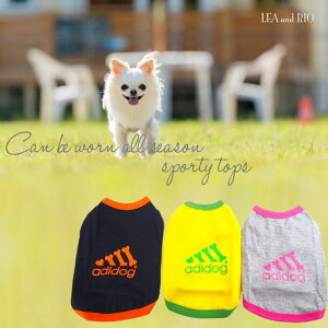 gbvX 1`12 TVc 킢 JWA Vv X|JW X|[eB[  N R[f m[X[u X[uX ɏ ps[ ^ ^ ^ ^  L ybg