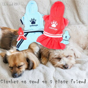 IIJo[I[ 1`6 p[X I[C H ~  JWA s Ȃ W[W ɏ ps[ ^ ^  L ybg   L ̕ L