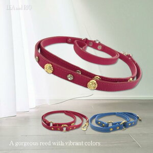 U[^b`[h[h 120cm j g[jO  v ybg  hbOEFA  o ΂ KN ^p[c Xg[ r[Y rW[ ACe Vv Z ^ ɏ