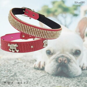 �L���L��������� 35�`49cm ���т� �y�b�g��� �p�s�[ �ɏ��� �����^�� ���^�� ���^�� �� �L �y�b�g �� ���� �L�� ���S �A�C�e�� ���� �i�`������ �}���` �J���[ �r�r�b�g�J���[ �n�[�g �V