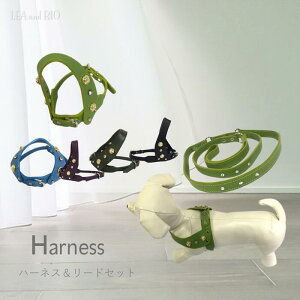 選べる!6カラーハーネス・リードセット リード ハーネス 手綱 胴輪 ビーズ 子犬 シニア犬 バラ 合成皮革 合皮 シンプル くすみカラー メタルパーツ 極小犬 パピー 超小型犬 小型犬 犬 猫 ペ