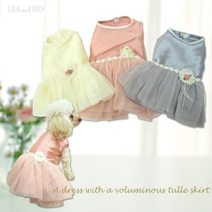 hXss[X XS`LTCY hX JNehX m   L[g Ă΂ p[eB[ i Y eBA[h s [X t[ `[ t tA 