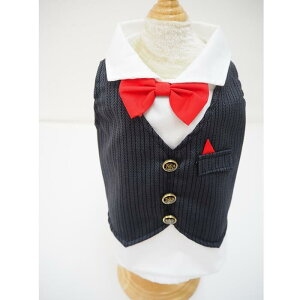 jȂǂ̐ꒅɁIgbvX S`XLTCY X[c ^LV[h tH[} ɏ ps[ ^ ^  L ybg  ̕ L̕  L m lN^C N[ { 