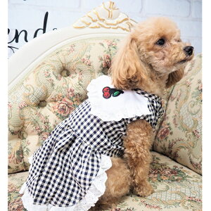 wbhANZT[Zbg ^TCY H s[X XS`XLTCY MK`FbN ɏ ps[ ^ ^  L ybg   L ̕ L̕ m hbOEFA dog 