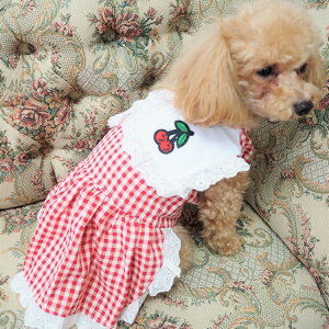 �y2025�N �労�Ӊ��i�I1,300�~�ψ�z�w�b�h�A�N�Z�T���[�Z�b�g ���^���T�C�Y �H�� �����s�[�X XS�`XL�T�C�Y �M���K���`�F�b�N �ɏ��� �p�s�[ �����^�� ���^�� �� �L �y�b�g �� ���� �L�� ���̕� 