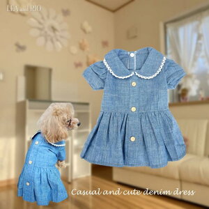 JWAss[X s hX ɏ ps[ ^ ^  L ybg  ̕ L̕  L m hbOEFA fj ۋ i` Vv ^ JWA