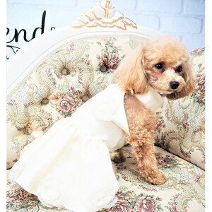 p[eB[hXs[X XS`XLTCY L ̕ L̕ m EFA  t[ a  EFfBO VtH s[X s JNehX  I[KW[ 