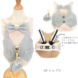 n[lX[hn[lX XS`XLTCY s[X s 킢  { ڂ cC[h H ~ t [h X[uX Zbg gbvX ɏ ps[ ^ ^  L 