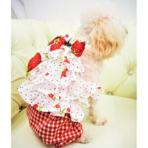 郍p[XJo[I[ XS`XLTCY Ȃ I[C ^ ybg  ̕ L̕  L m hbg EFA dog 킢  t  `FbN 