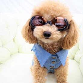 在庫限り UVカット100％ペット用ゴーグル【Doggles - ドグルズ - 】 大型犬サイズ UV カット 100％ サングラス Lサイズ ゴーグル 服 犬の服 猫の服 白内障予防 紫外線 健康 dog 車酔い予防 シンプル めがね 眼鏡 メガネ 大型犬 大型 犬 猫 ペット 返品交換不可