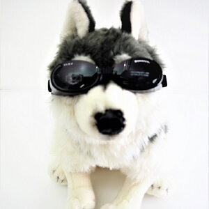 100OJbgS[ODoggles - hOY - UV Jbg 100 XLTCY ዾ Kl hbOEFA N L[g dog hbN \h O ^TCY Ԑ\h S[O Vv ^