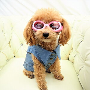 100OJbgS[ODoggles - hOY - UV Jbg 100 XLTCY ዾ Kl hbOEFA N L[g dog hbN \h O ^TCY Ԑ\h S[O Vv ^