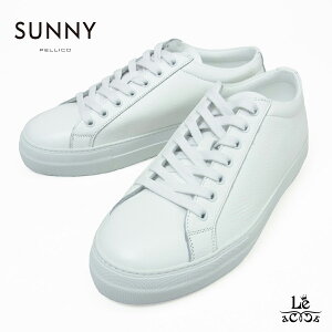 PELLICO SUNNY y[R Tj[ [XAbv Xj[J[ GIOIA V{v Y 3.5cm M003 GAM BIANCO U[ {v zCg  C^A uh Y Ki yz