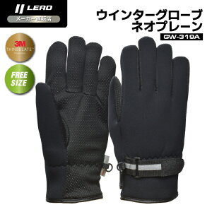 [hH (LEAD) oCNp EC^[ h O[u lIv[ GW-319A