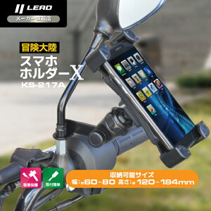 [hH (LEAD) oCNp X}z z_[ X `嗤 KS-217A ubN tXe[ʔ