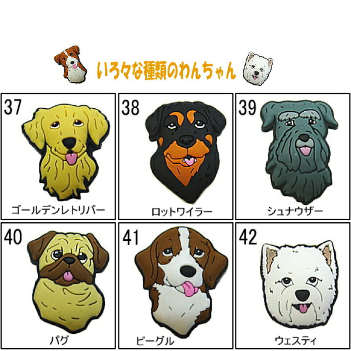 売り切れ必至! ジビッツ クロックス シュナウザー 犬 再販 ハンドメイド 親子 ジビッツ クロックス シュナウザー 犬 再販 ハンドメイド