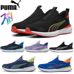 ܂  C nYt[ v[} PUMA LbY WjA fB[X Xj[J[ N[Y vtH[ C[YC 397633 CRUISE PROFOAM EASE IN JR g   C gȂŗ
