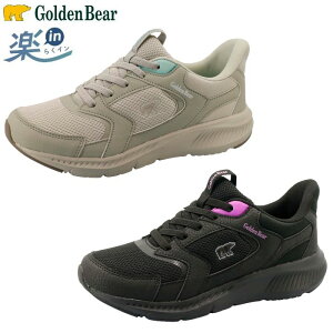 S[fxA Golden Bear fB[X Xj[J[ yin 炭C V[Y GB-427 y g   C nYt[ gȂŗC g킸ɗC fB[X  
