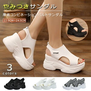 y3980~3383~ P10+5%COUPON! 11/19 23:59zX|[cT_  fB[X T_ 22.5-24.5cm T_ y RtH[ r[`T_ I[vgD C C Xj[J[ X|[c