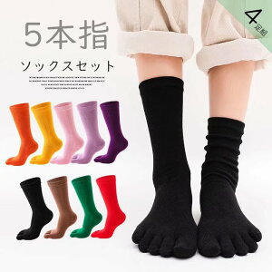 yP10{I24202178~ 10/27܂ŁzʂȃJ[WJI 5{w \bNX 4g fB[X p nC\bNX n C ₦Ƃ ₦ɂ 4_Zbg J[\bNX 