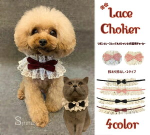 yI[vLOI5%OFFN[| 11/17܂Łzybg炵郊{`[J[  t [X  p Lp ^ ʋC 킢 sN Cbh ubN ݏ