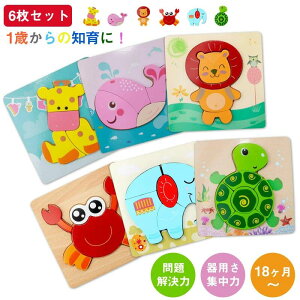 y2705~2651~ P2!zy6ZbgzؐpY eb\[炨 ςݖ؃pY ؐߋ ؂̂ m炨 ^͂߃pY `킹 cpؐWO\[pY F