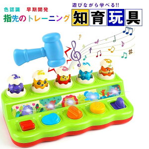 y4219~3797~ P5+5%COUPON! 11/27 1:59z炽Q[ mߋ eb\[  Ԃ m炨 J wP ܊ Lv s c qǂav