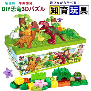 yz!X[p[SALEzubN  ςݖ 40s[X qǂ mߋ 3DpY ̃pY \zubN c~L  Q[ gݗ DIY V  `킹 wP ܊ qǂ