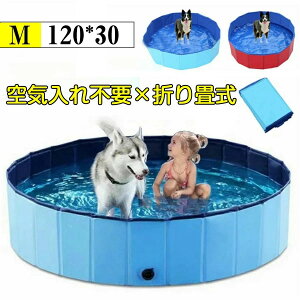 yP10{I37993419~ 11/11܂Łzy80×20cmzybgpv[ ybgoXv[ ӂ  C Vv[ Csv ܂肽݃v[ ܂  L qpv[ ƒpv[