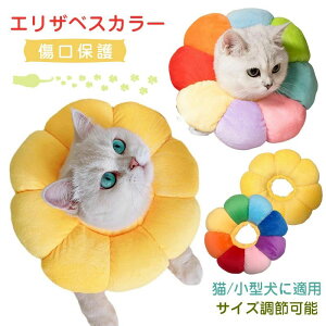 yP10{I25992339~ 11/11܂ŁzGUxXJ[ Lp p \tg ^ ybgpi TCY߉\ p񕜋 rߖh~ ی ~h~ pp p sDp D