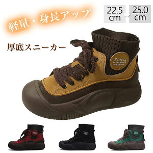 y3799~3419~ P5+5%COUPON! 11/27 1:59z\bNXu[c fB[X  V[gu[c OΉ H~ u[c N K pvX nCJbgXj[J[  Eh C