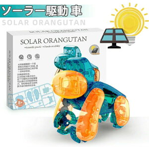 y6079~5471~ P5+5%COUPON! 11/27 1:59z\[[ \[[쓮 mߋ ubN  j̎q qǂ q gݗĂ 쓮 DIYf Ȋw GlM[ @B a