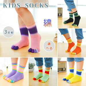 yJXLOE5%OFFN[|IzyIׂ3gzq C Zbg 5{w\bNX V[g\bNX ̎q Vv j̎q ǂ g 5{wC X|[c\bNX qp  5{w qǂ