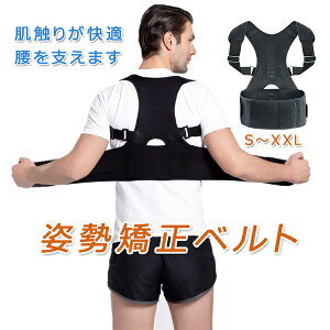 yP10{I28992609~ 10/27܂Łzpxg j  Lwxg Y xg Lw w  xg jp fB[X pT|[^[ pxg w؃xg ˂w L