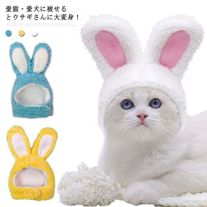【P10倍!1164→実質1048円 10/27まで】猫用 帽子 ペット用帽子 小型犬 犬用 帽子 ハット ウサギ耳付き ドッグ帽子 仮装 犬用 猫用 着ぐるみ コスチューム 猫 ネコ ねこ キャットウエア 暖かい ボ