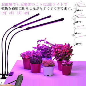 yI[vLOI5%OFFN[| 11/17܂Łzƕs ԂƐ A[R LEDA琬 ͔| Cg Lbg ͔| ȒP 4 A ϗtA v ͔| K[f  H