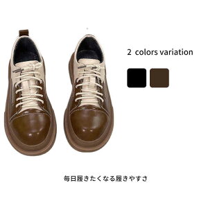 y3949~3554~ P5+5%COUPON! 11/27 1:59zyʌ\[[t@[ fB[X RC[t@[ JWAV[Y gbN\[ @n @ʋ ʊw  A[hgD 