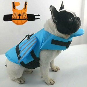 yP10{I21991979~ 11/11܂Łz̕ CtWPbg  V ybg XCEFA CtWPbg ybg t[eBOxXg nr hbO hbOEFA Ct