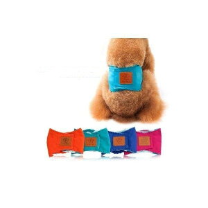 yJXLOE10%OFFN[|Izpi IXp  pi ybgp̃Ic IXp pc }i[pc